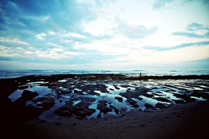 Sabrina Sikora Photography
